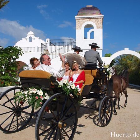 Huerto De La Luz Guest House เอลเช ภายนอก รูปภาพ